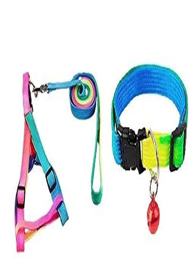 D&C PAWS Adjustable Nylon Puppy Leash and Harness Set with Matching Rainbow Collar - Comfortable, Durable, and Stylish Walking Gear for Puppies and Small Breed Dogs - Image 5
